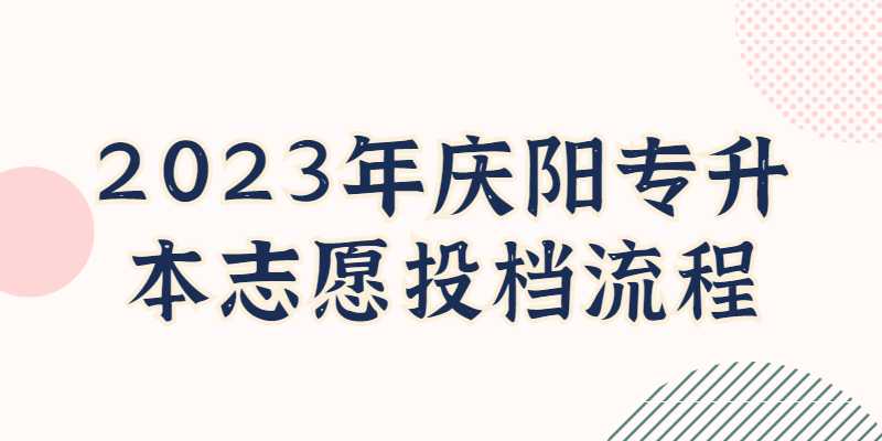 2023年庆阳专升本志愿投档流程是什么？